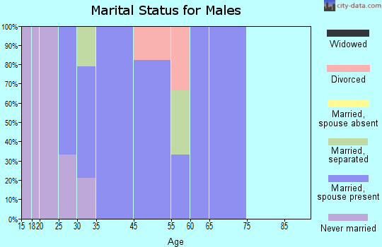 Bloomingdale marital status for males
