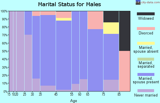 Boston Heights marital status for males