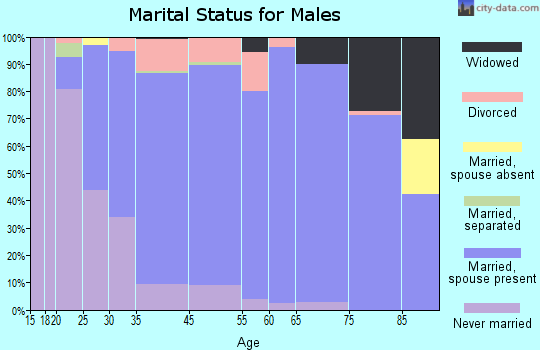 Bridgetown North marital status for males