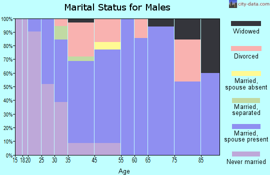 Brimfield marital status for males