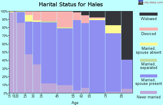 Broadview Heights marital status for males