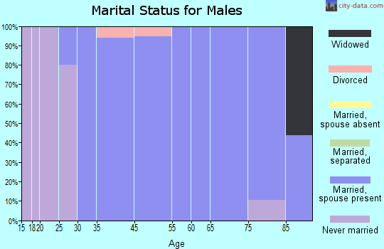 Brookfield Center marital status for males