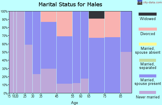Brooklyn Heights marital status for males