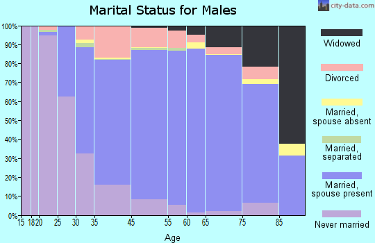 Brook Park marital status for males