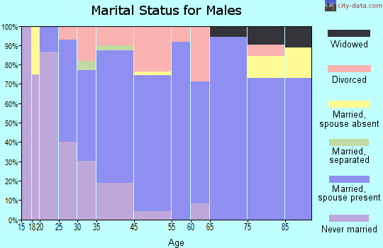 Brookville marital status for males
