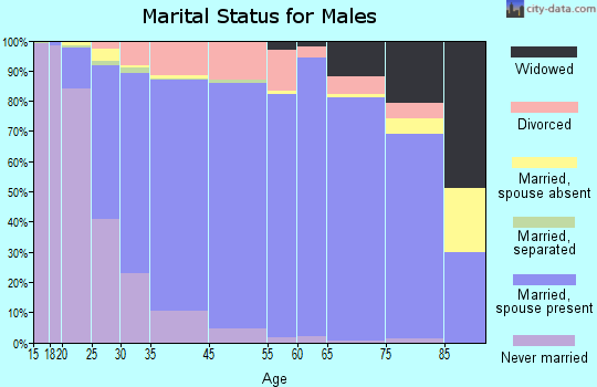 Brunswick marital status for males