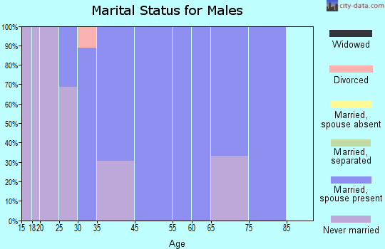 Burkettsville marital status for males