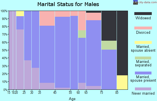 Cadiz marital status for males