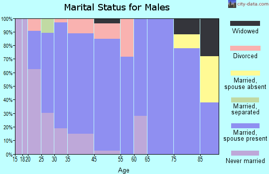 Canal Fulton marital status for males