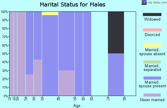 Chatfield marital status for males