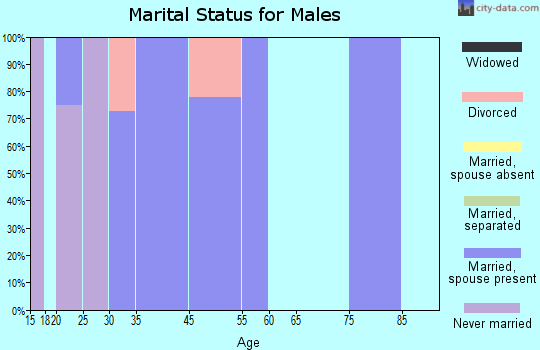 Cherry Fork marital status for males