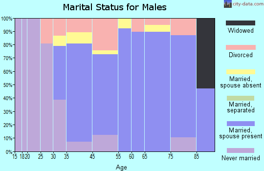 Chesterland marital status for males