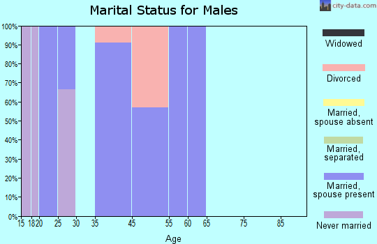 Chesterville marital status for males