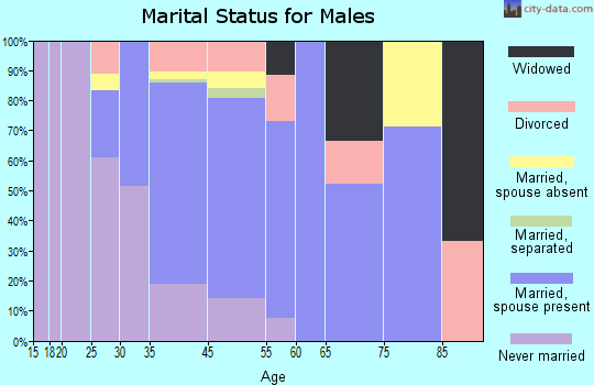 Chippewa Lake marital status for males