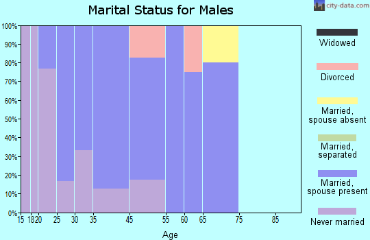 College Corner marital status for males