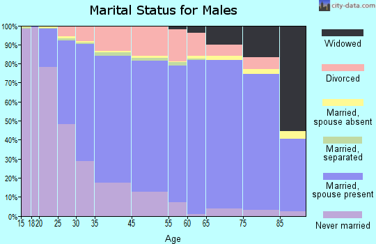 Cuyahoga Falls marital status for males