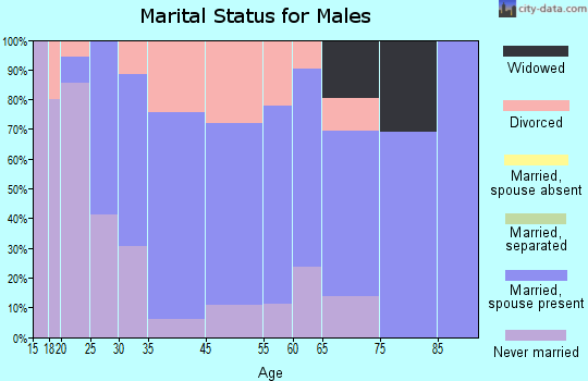 Dillonvale marital status for males