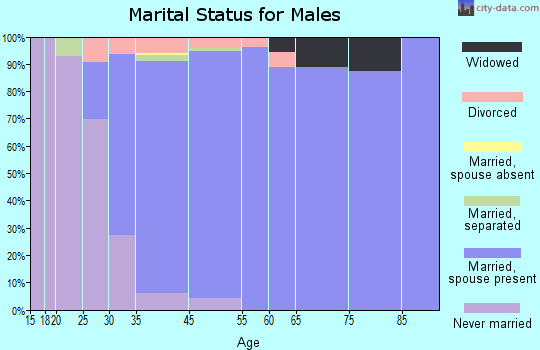 Dry Run marital status for males