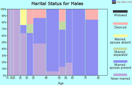 Black Point-Green Point marital status for males