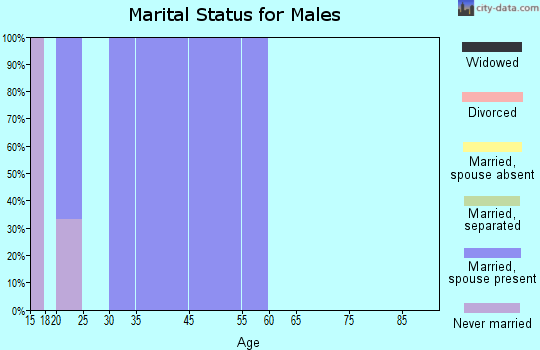 Elgin marital status for males