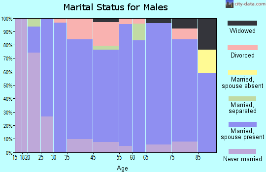 Elmore marital status for males