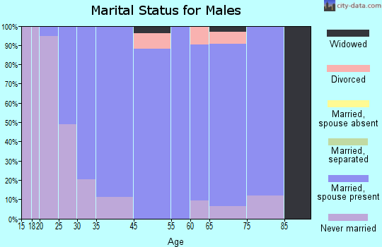 Fort Loramie marital status for males