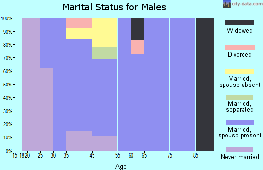 Bodega Bay marital status for males