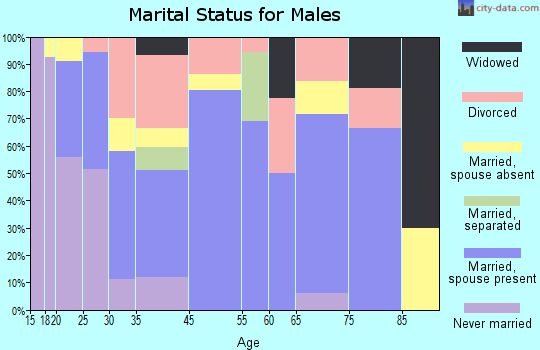 Georgetown marital status for males