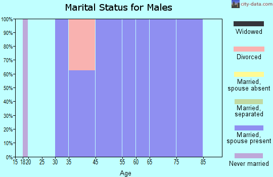 Graysville marital status for males