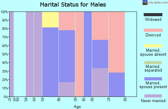 Bombay Beach marital status for males