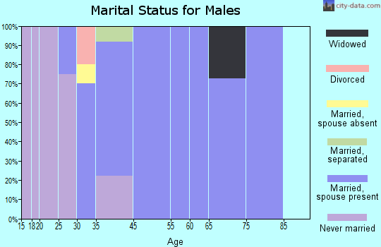 Hanging Rock marital status for males