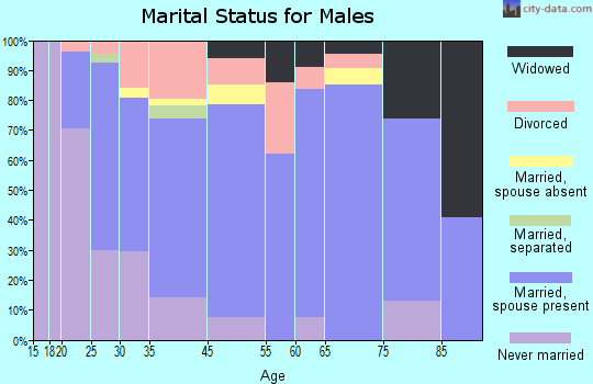 Hicksville marital status for males