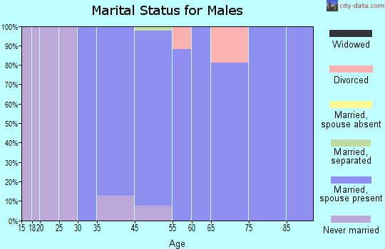 Hills and Dales marital status for males
