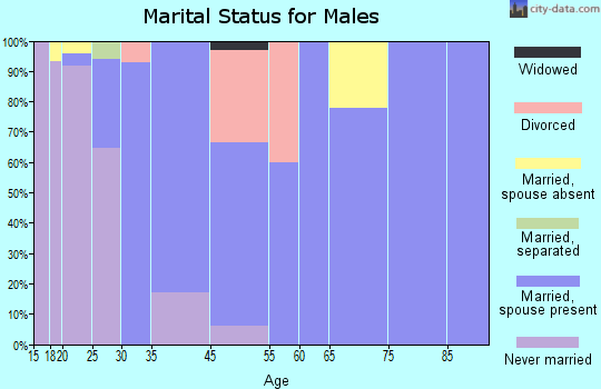 Hiram marital status for males