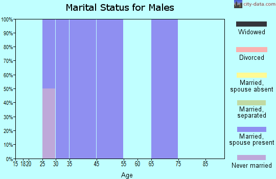 Holiday City marital status for males