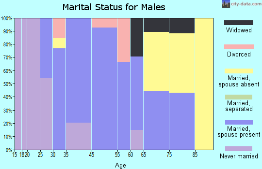 Holiday Valley marital status for males