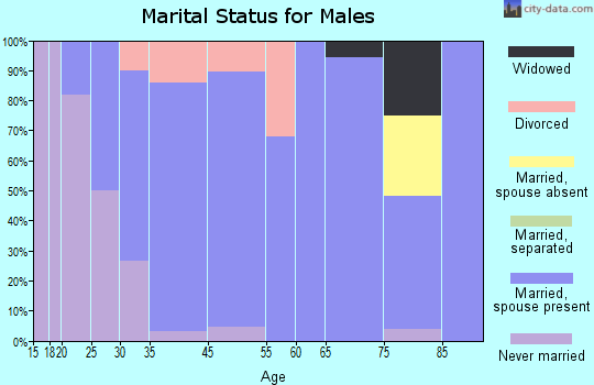 Hopedale marital status for males
