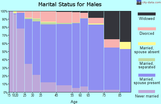 Huber Heights marital status for males