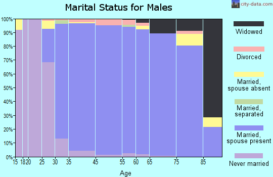 Hudson marital status for males