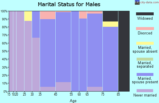 Hunting Valley marital status for males