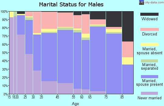 Ironton marital status for males
