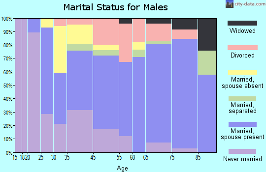 Borrego Springs marital status for males