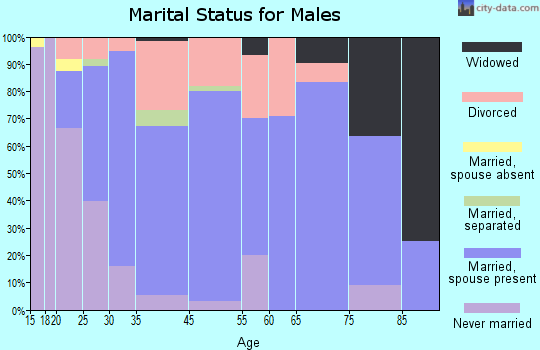 Jamestown marital status for males
