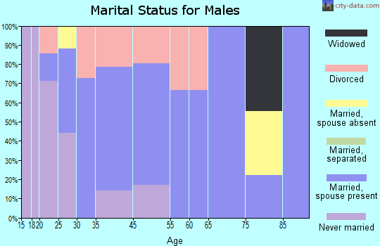 Jerry City marital status for males