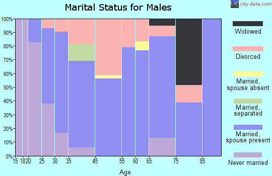 Lakeview marital status for males