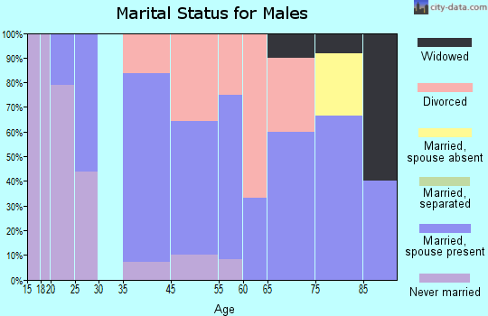 Laurelville marital status for males