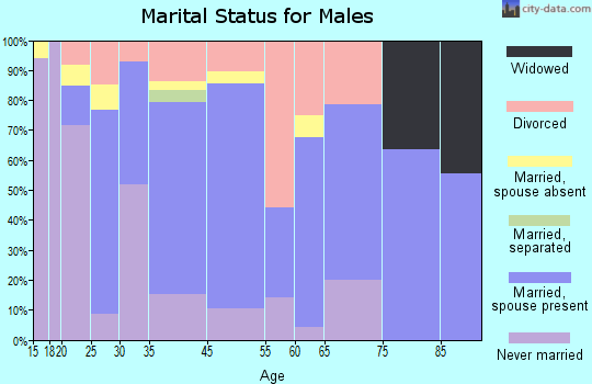 Leavittsburg marital status for males