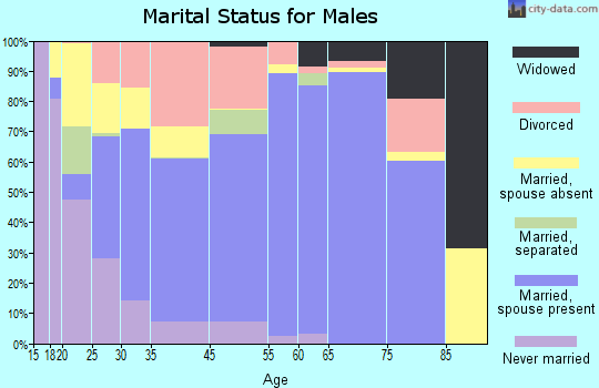 Lebanon marital status for males