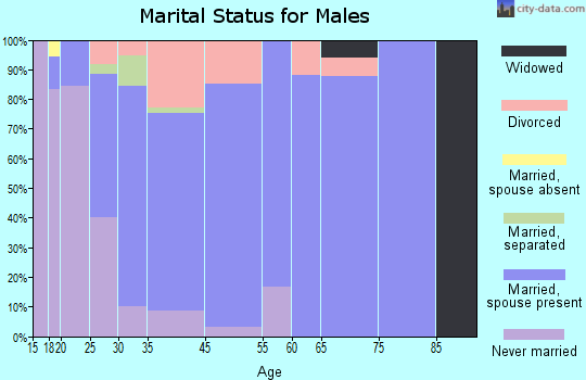 Leesburg marital status for males