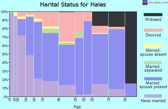 Lincoln Village marital status for males